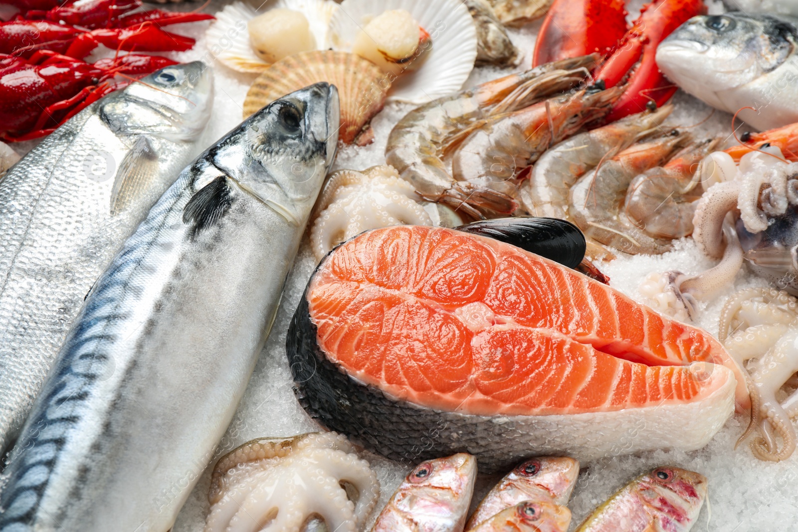 Photo of Fresh fish and seafood on ice, closeup