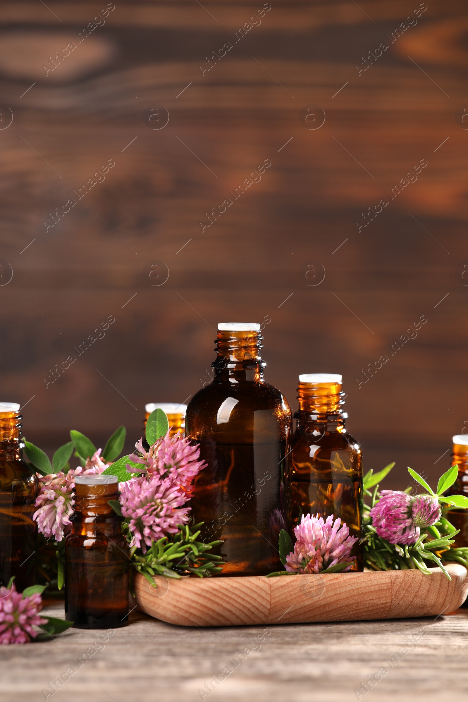 Photo of Bottles with essential oils, clover and rosemary on wooden table. Space for text