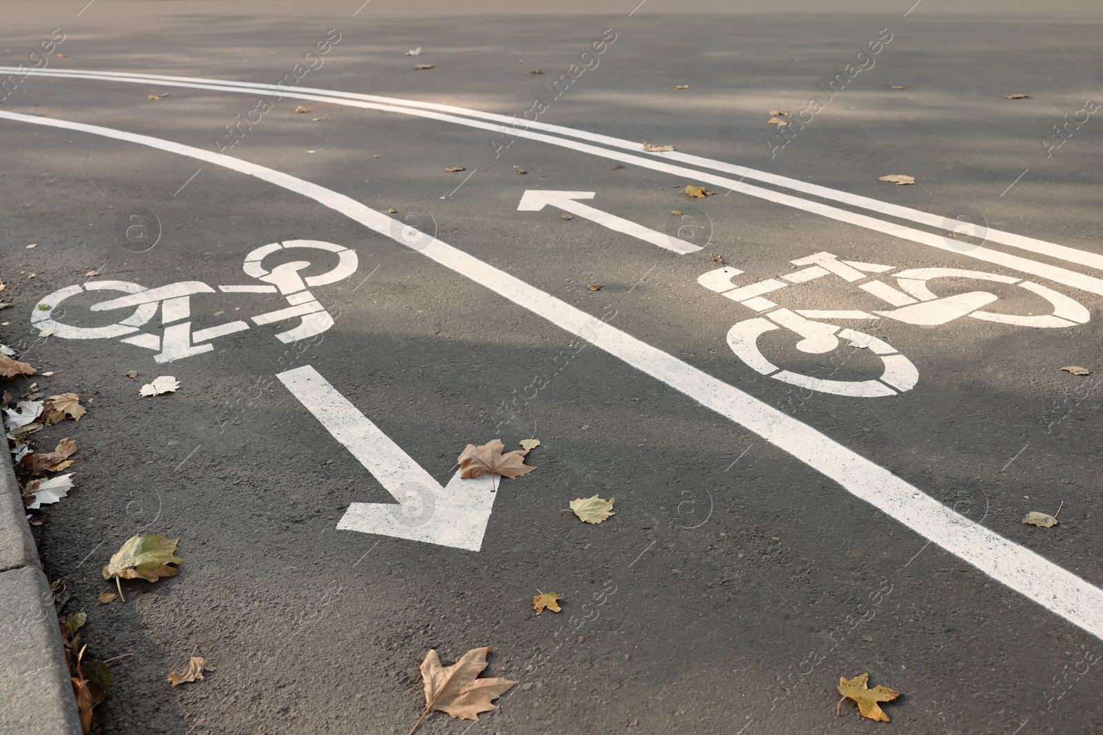 Photo of Two way bicycle lane with white signs on asphalt