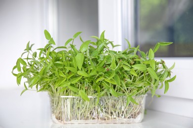 Photo of Mung bean sprouts in plastic container indoors