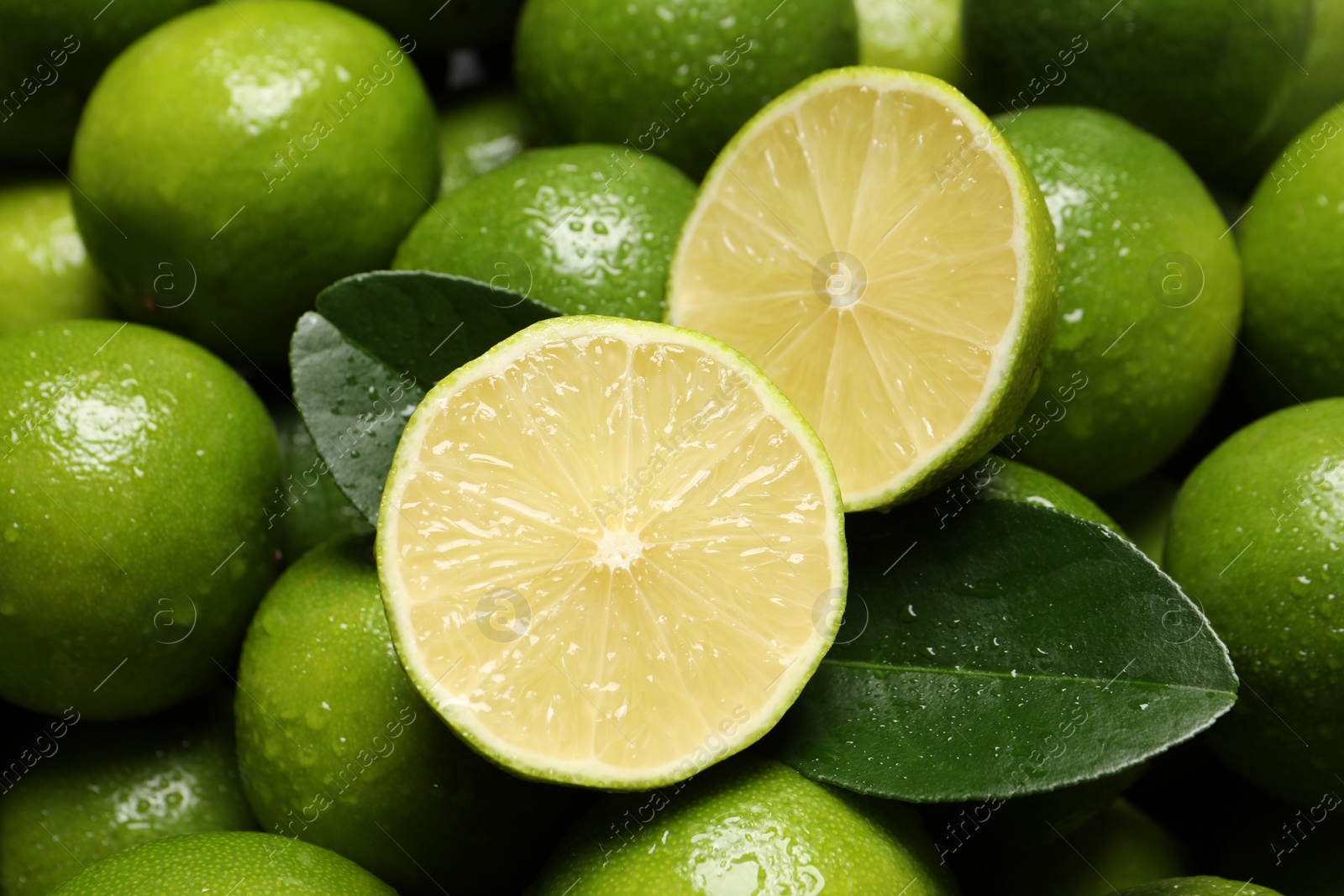 Photo of Fresh limes and leaves with water drops as background, closeup