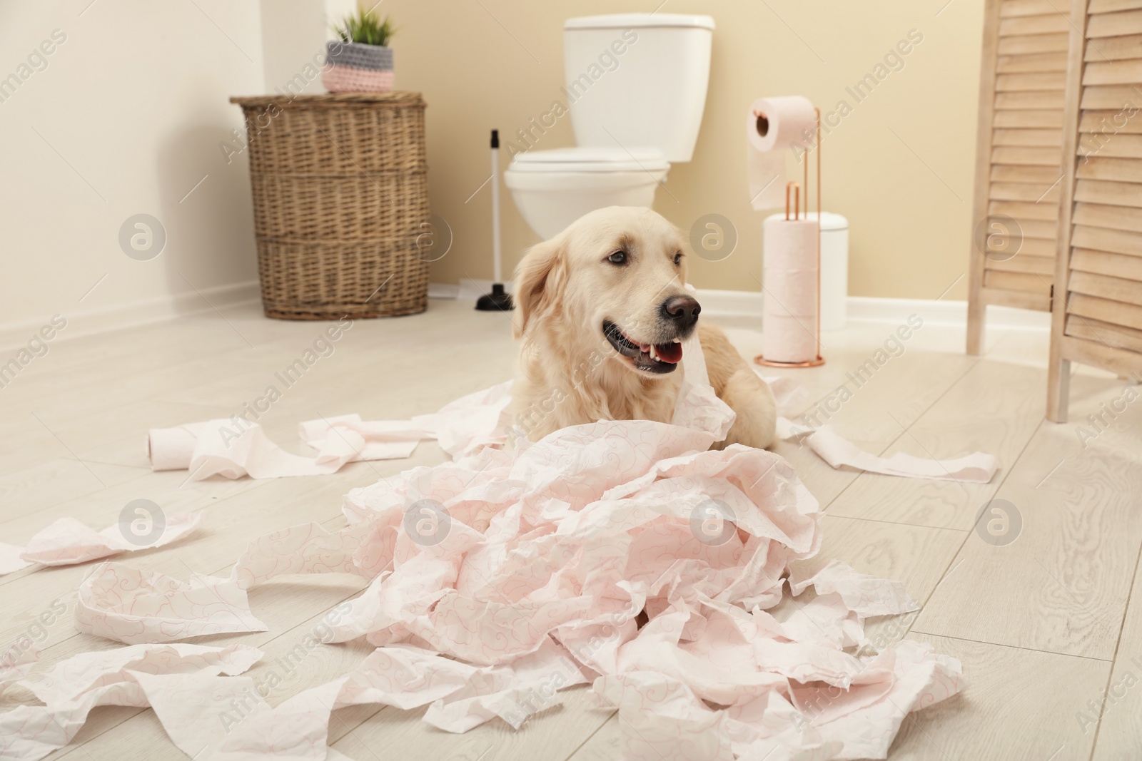 Photo of Cute dog playing with toilet paper in bathroom at home