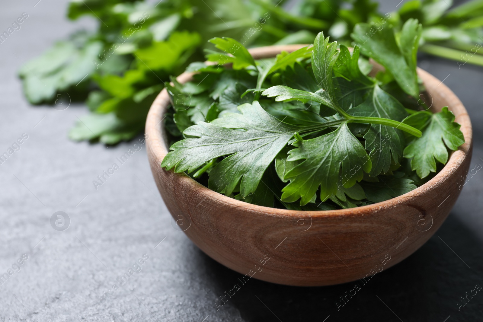 Photo of Fresh green parsley on grey table, closeup