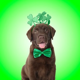 Image of St. Patrick's day celebration. Cute Chocolate Labrador puppy wearing headband with clover leaves and bow tie on green background