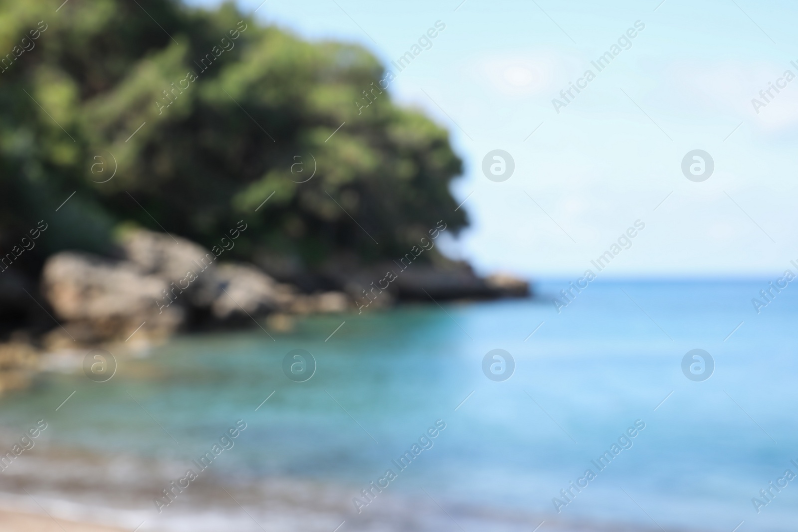 Photo of Blurred view of sea beach near forest on sunny summer day