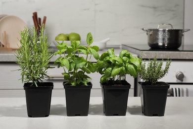 Photo of Pots with basil, thyme, mint and rosemary on light grey table in kitchen