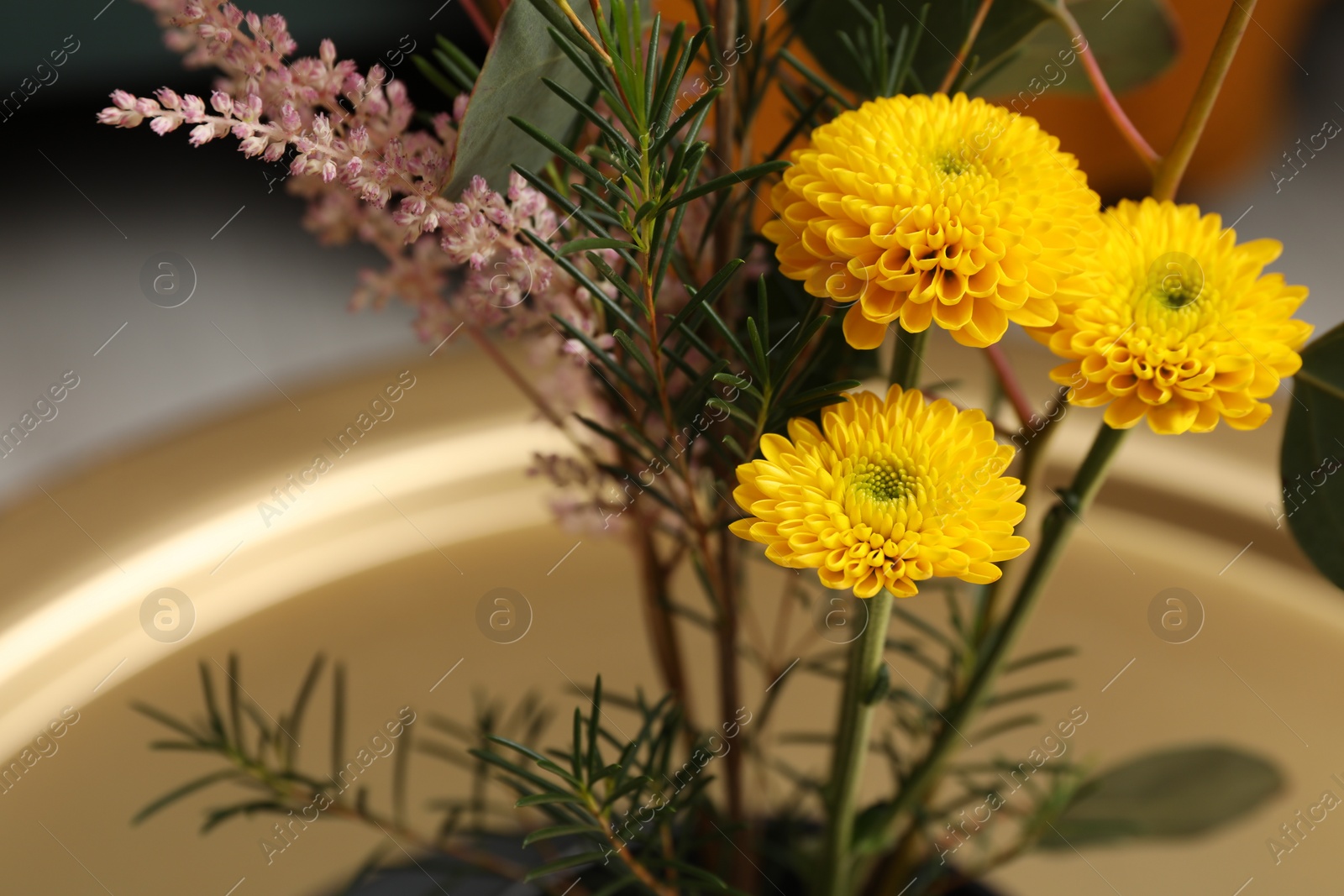 Photo of Beautiful colorful flowers on light background, closeup