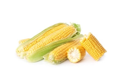 Ripe raw corn cobs on white background