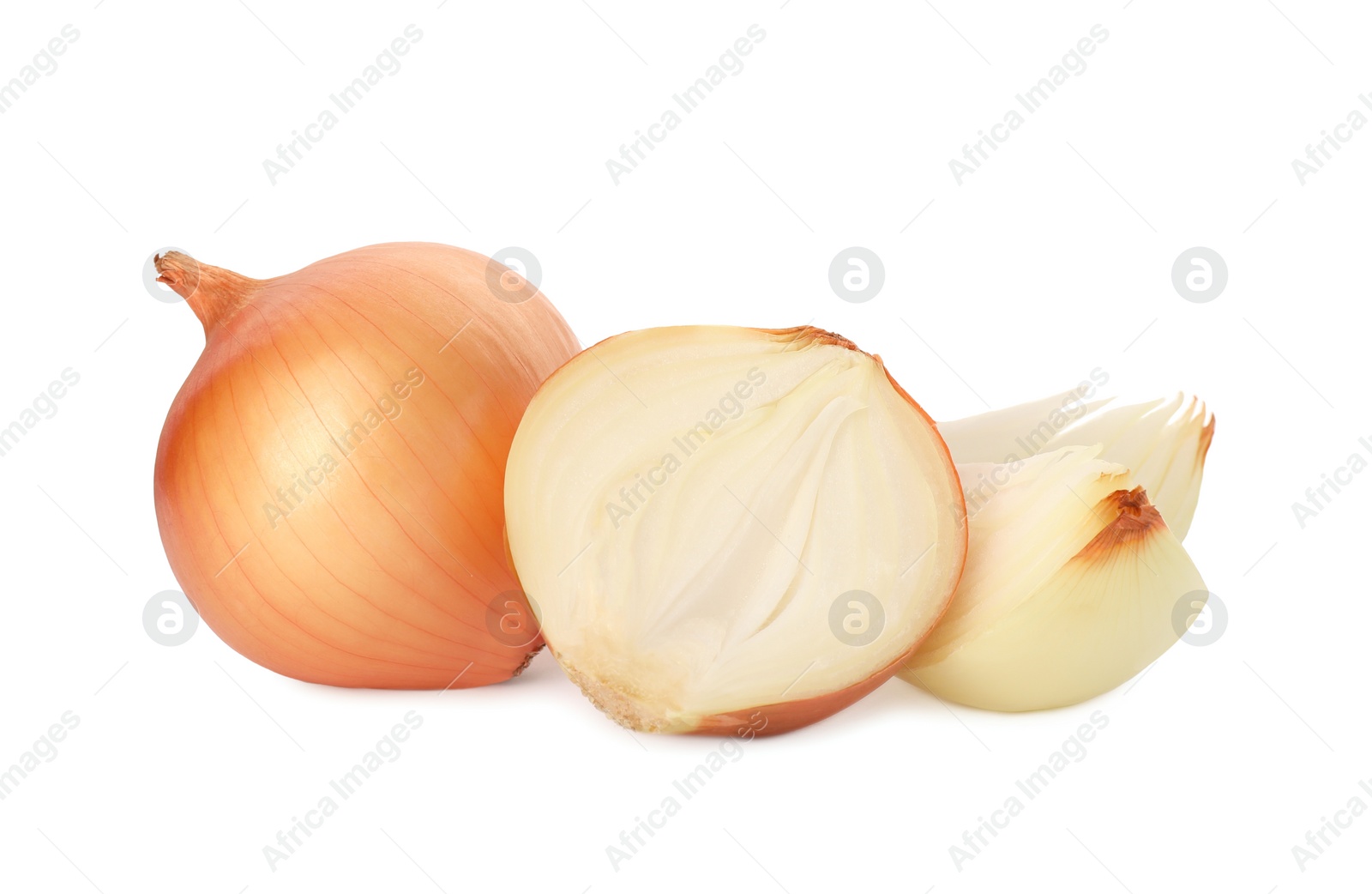 Photo of Whole and cut onions on white background