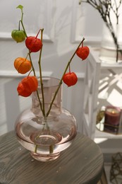 Photo of Physalis branches in glass vase on table indoors