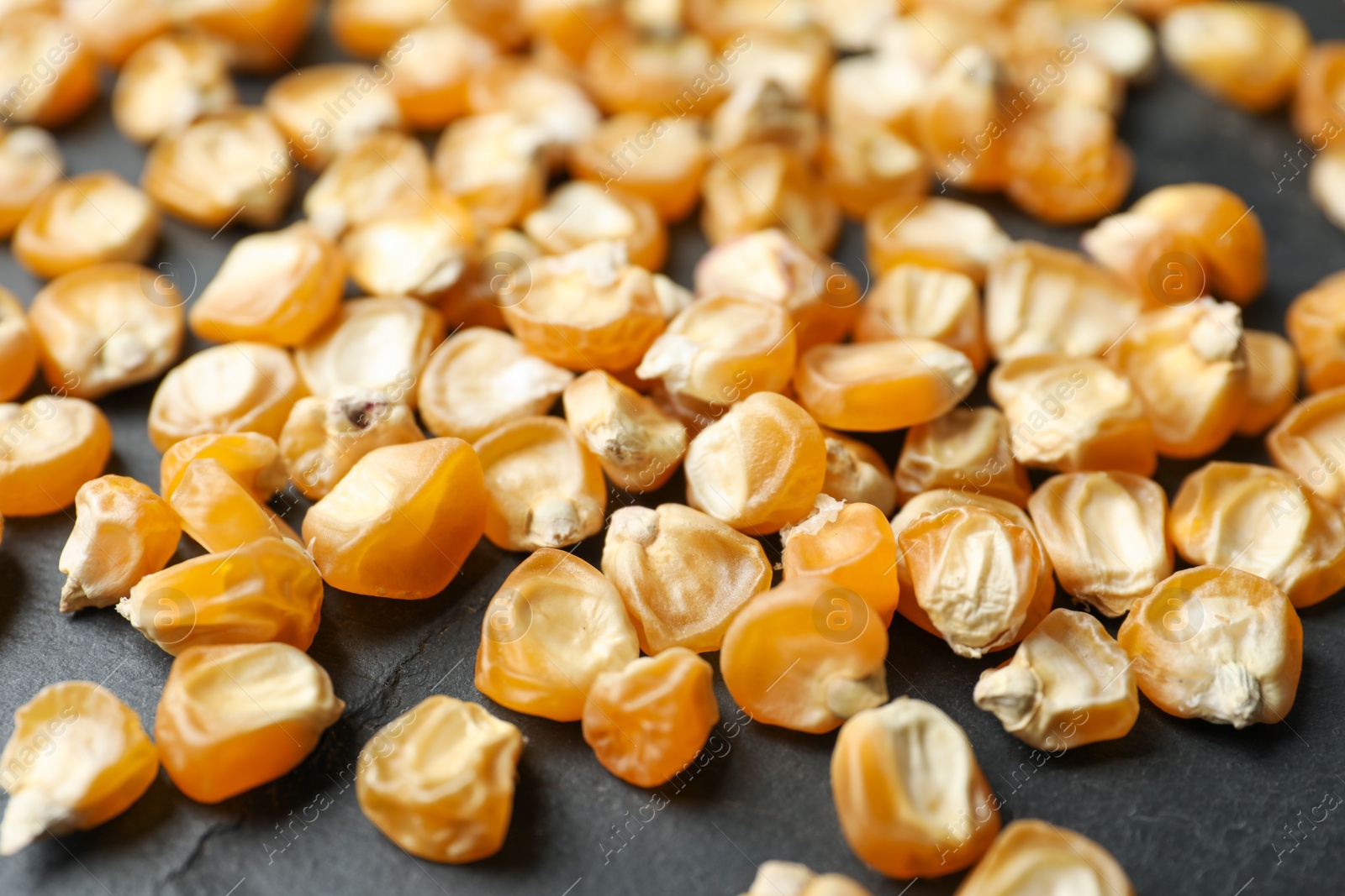 Photo of Raw dry corn seeds on grey background, closeup. Vegetable planting