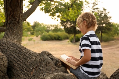 Cute little boy reading book on tree in park