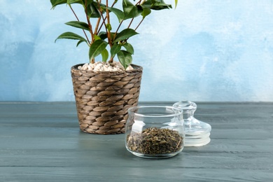 Photo of Glass jar with dry tea and shrub on table