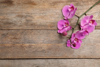 Photo of Branch with beautiful tropical orchid flowers on wooden background, top view. Space for text