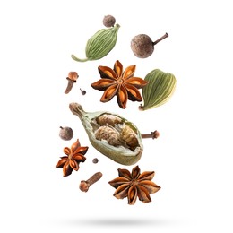 Image of Different aromatic spices falling on white background