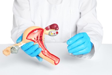 Photo of Gynecologist holding model of female reproductive system and disposable cotton tipped applicator on white background, closeup
