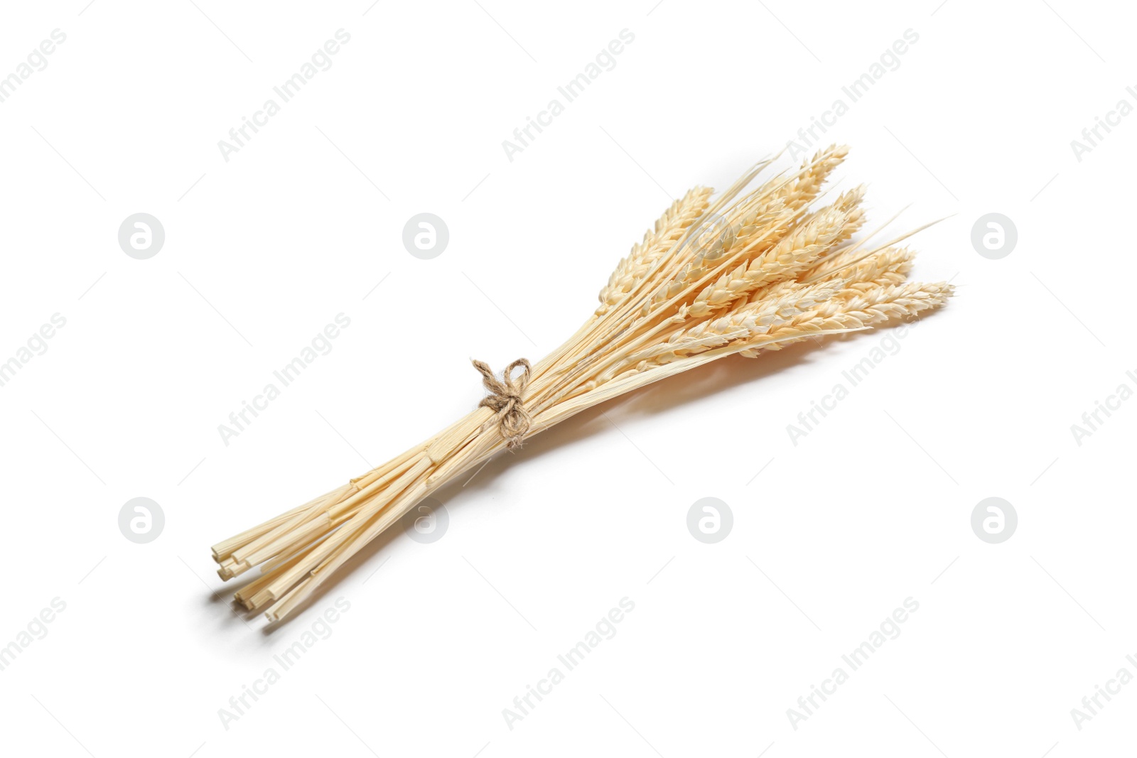 Photo of Bunch of beautiful dried flowers on white background