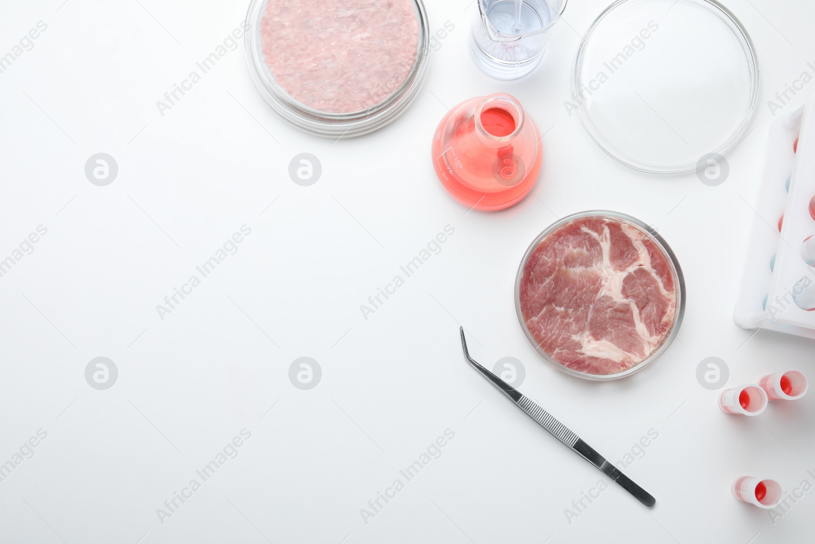 Photo of Samples of cultured meats on white lab table, flat lay. Space for text