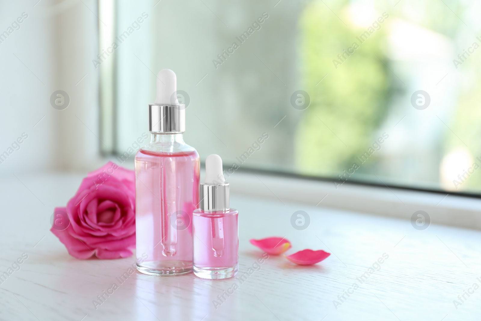 Photo of Bottles of rose essential oil and fresh flower on window sill, space for text