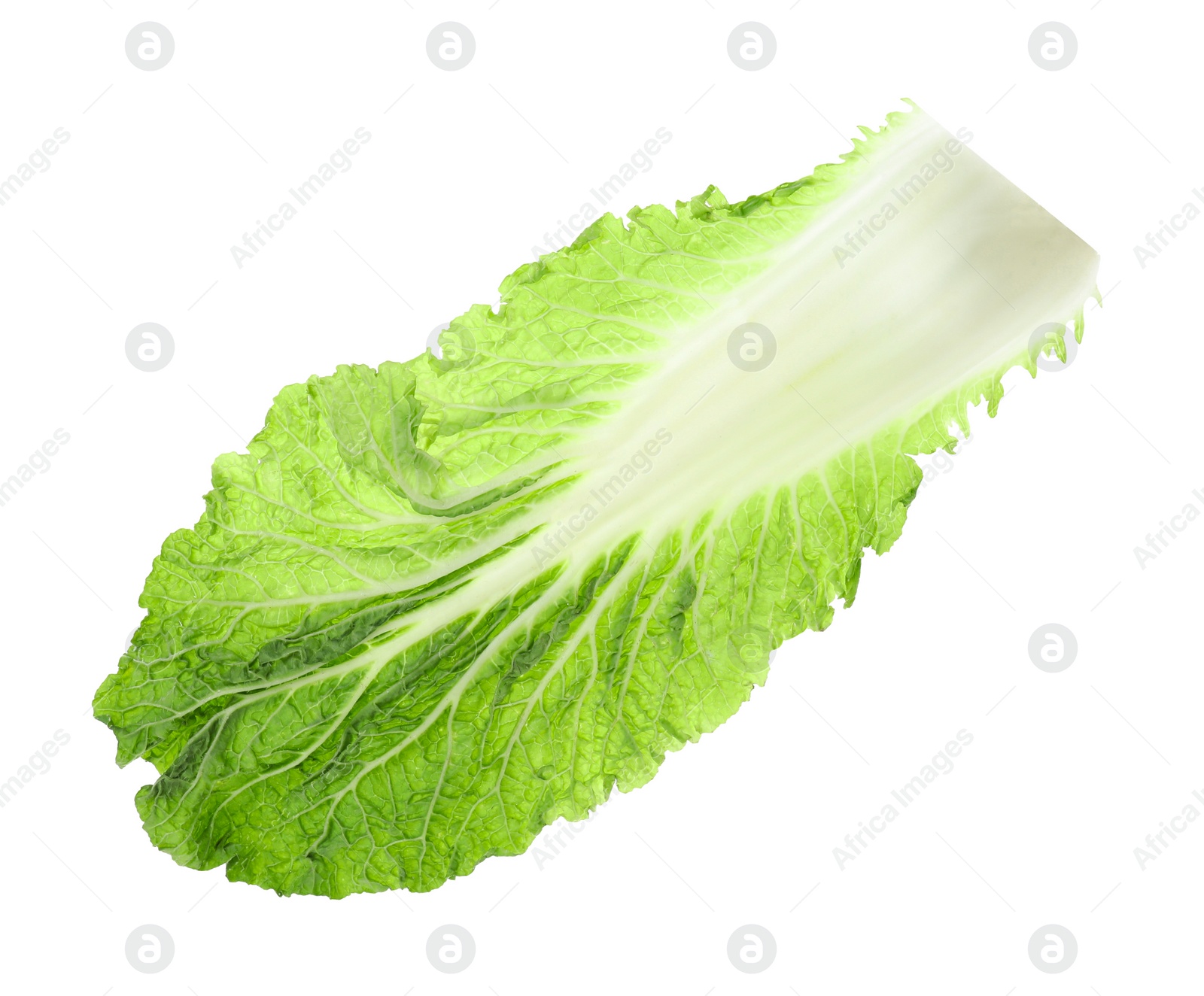 Photo of Leaf of Chinese cabbage isolated on white