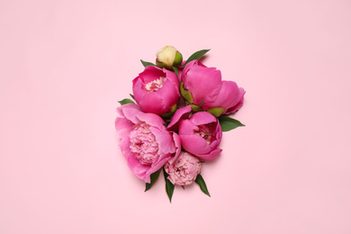 Photo of Beautiful fresh peonies on pink background, flat lay