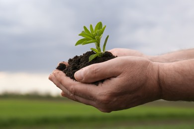Photo of Man holding pile of soil with seedling outdoors, closeup