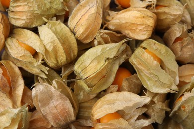 Photo of Ripe physalis fruits with calyxes as background, above view