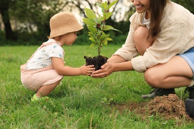 Photo of Mother and her baby daughter planting tree together in garden, closeup