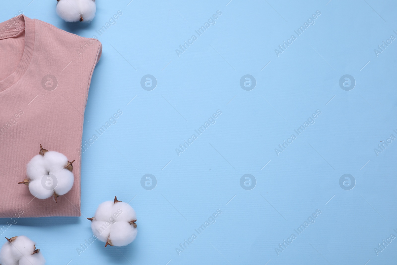 Photo of Fluffy cotton flowers and beige t-shirt on light blue background, top view. Space for text