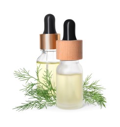 Photo of Bottles of essential oil and fresh dill isolated on white