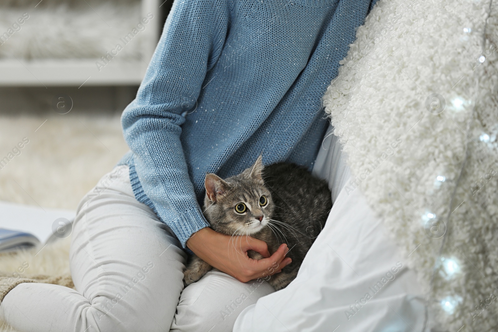 Photo of Young woman with cute cat at home, closeup. Cozy winter