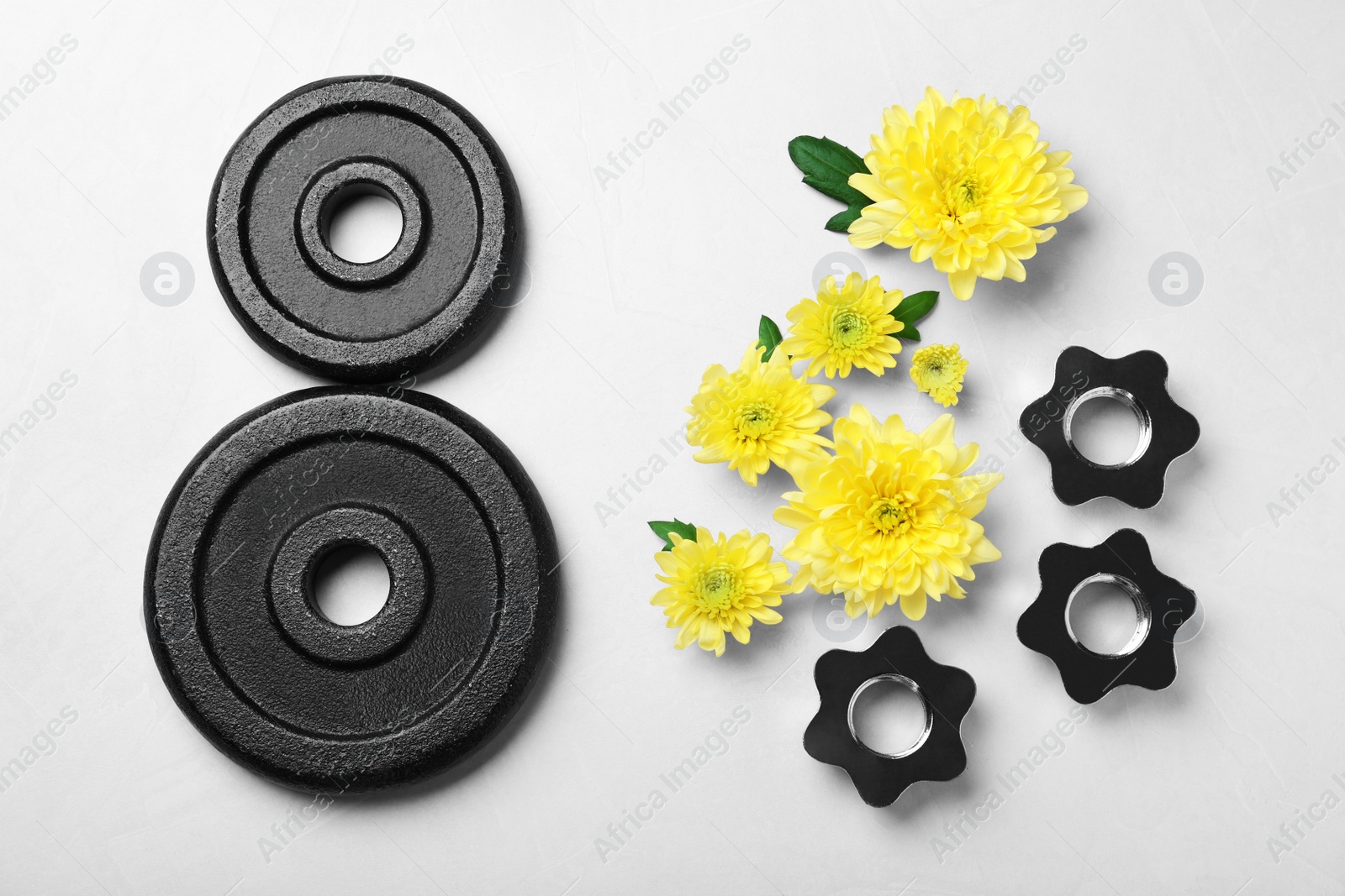 Photo of 8 March greeting card design with chrysanthemum flowers and weight plates on light grey background, flat lay. International Women's day