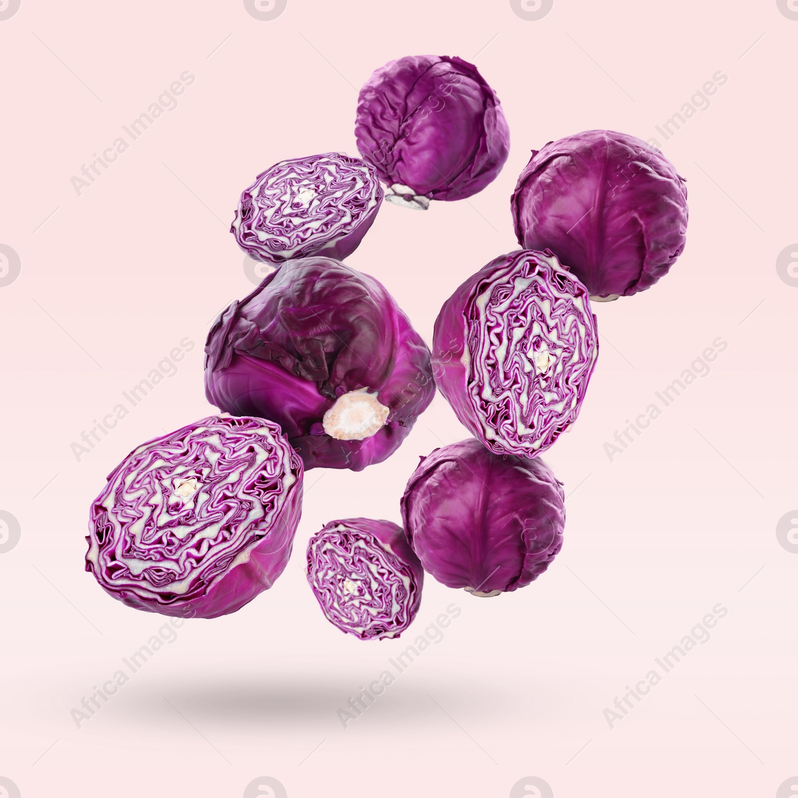 Image of Fresh whole and cut red cabbages falling on pale light pink background