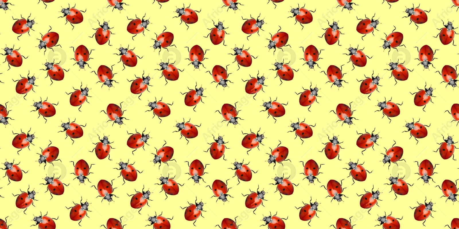 Image of Many red ladybugs on yellow background, flat lay. Banner design