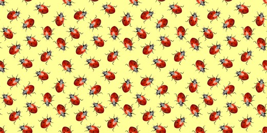 Image of Many red ladybugs on yellow background, flat lay. Banner design