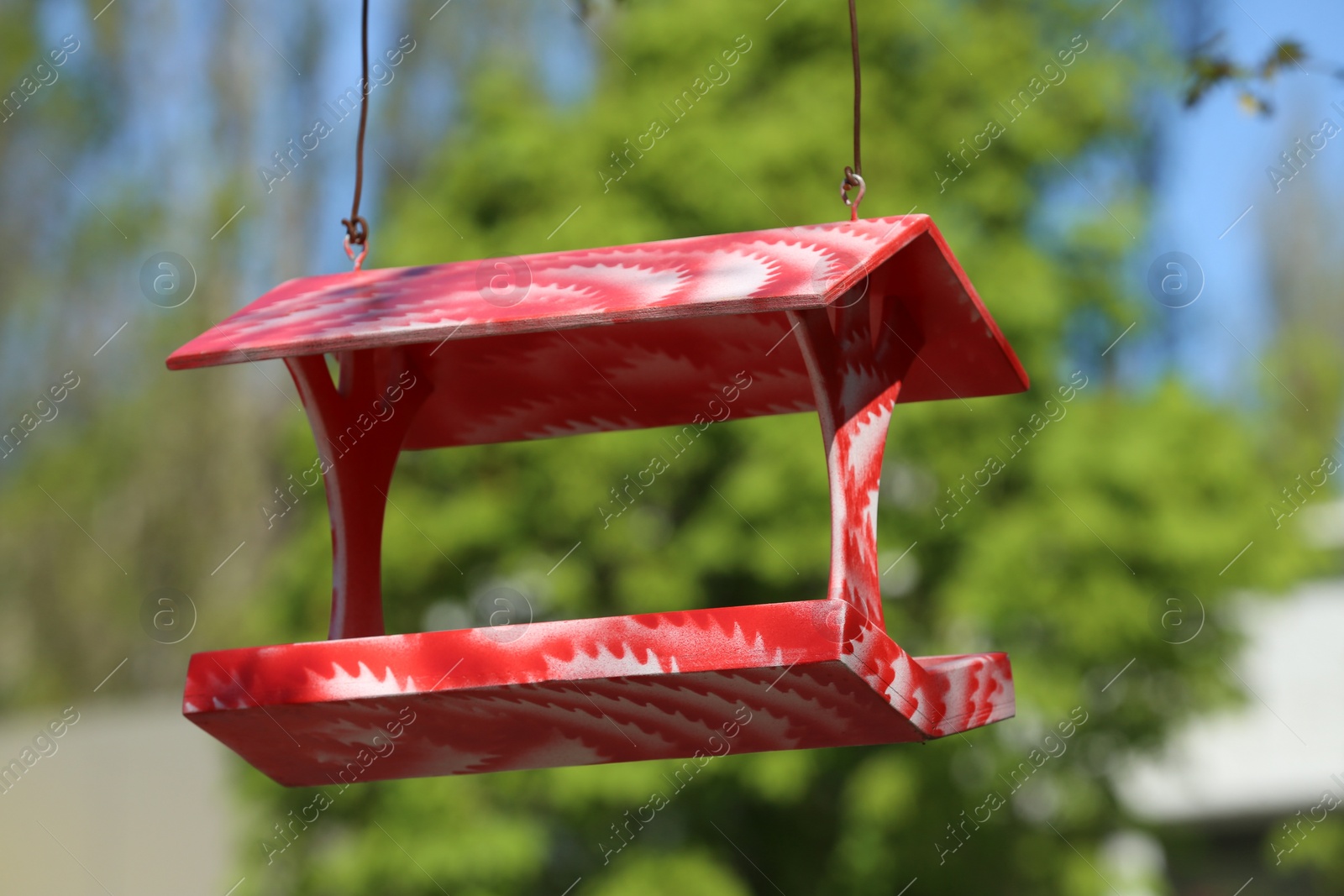 Photo of Color handmade bird feeder hanging outdoors on sunny day