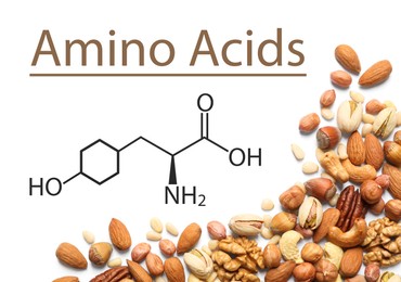 Different delicious nuts on white background, flat lay. Source of essential amino acids