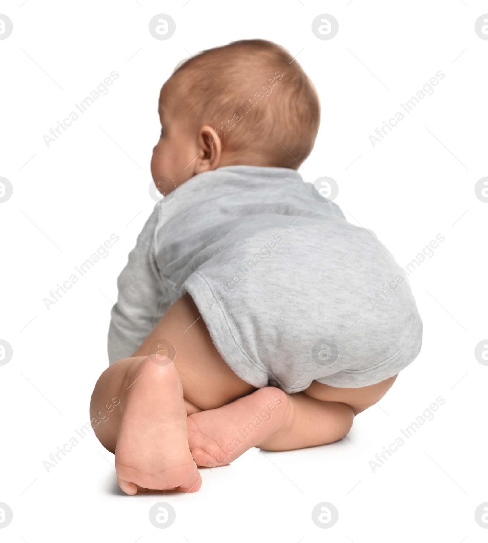 Photo of Cute little baby crawling on white background, back view