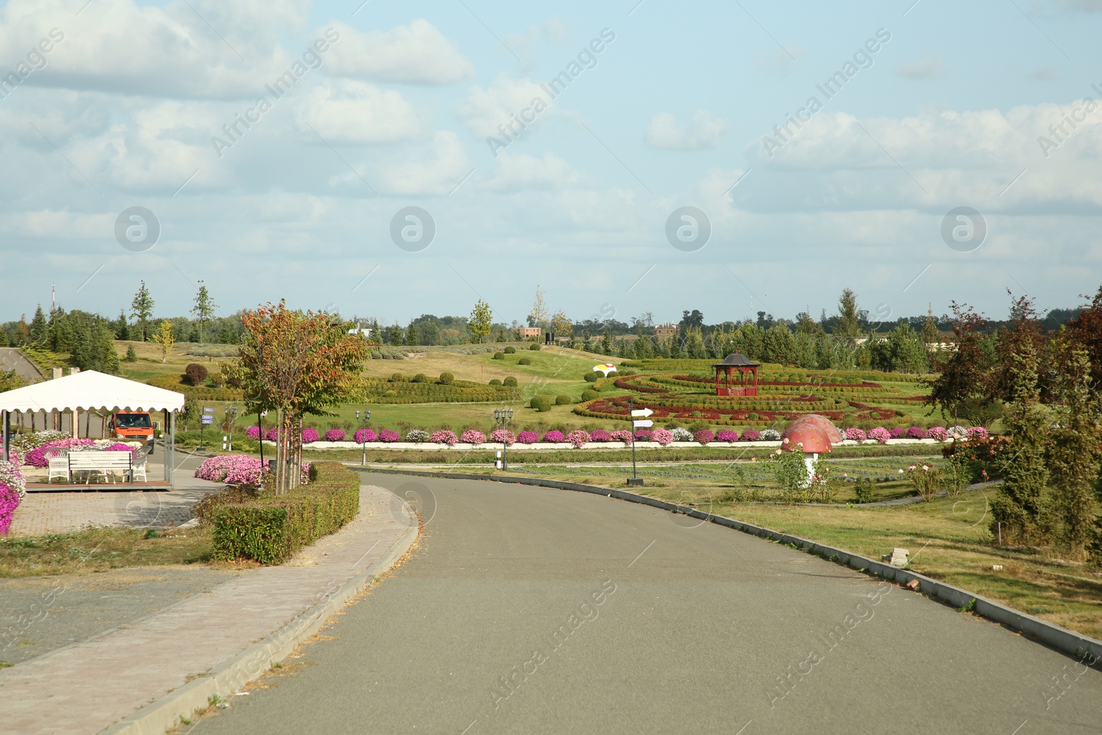 Photo of Picturesque view of empty road and trees on sunny day