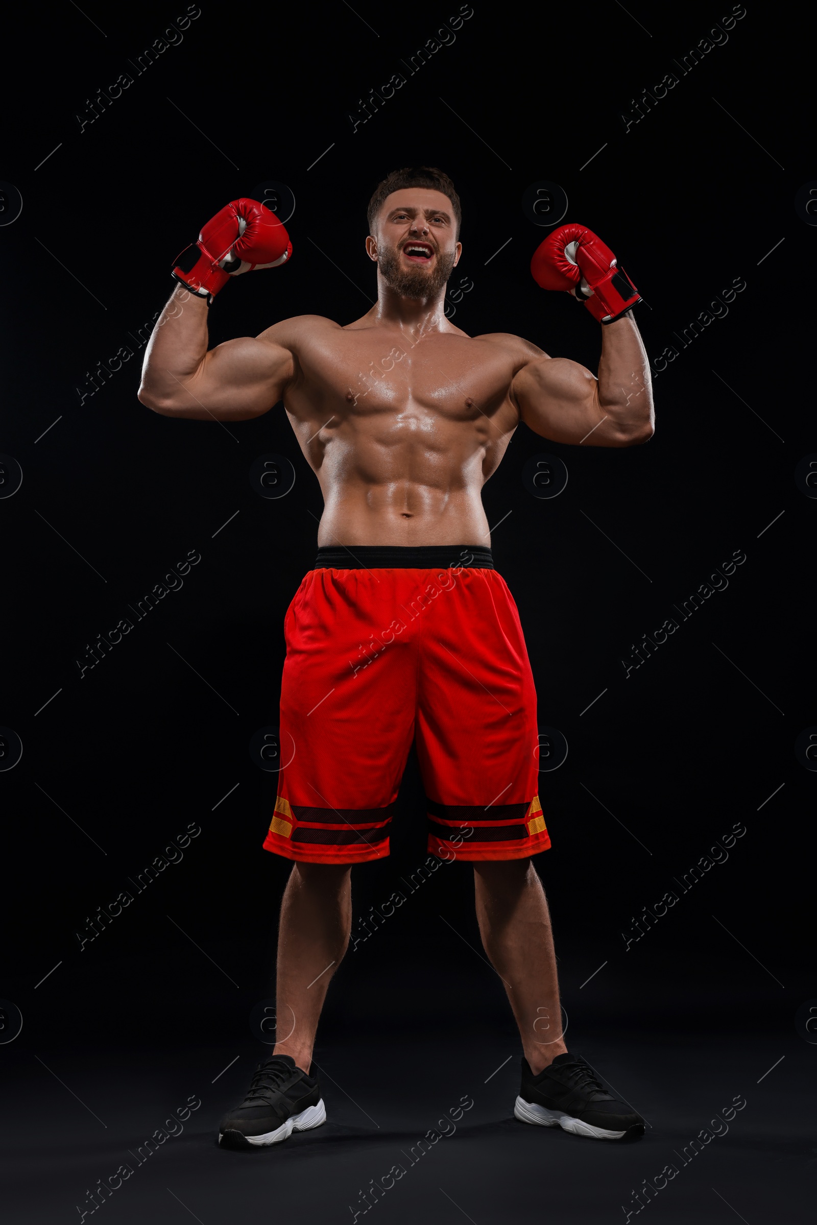Photo of Man in boxing gloves celebrating victory on black background, low angle view