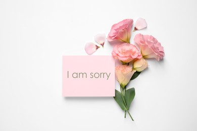 Image of Pink card with phrase I Am Sorry and Eustoma flowers on white background, flat lay