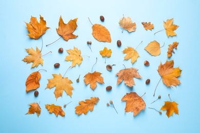 Photo of Flat lay composition with autumn leaves on blue background