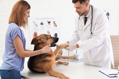 Woman with her dog visiting veterinarian in clinic