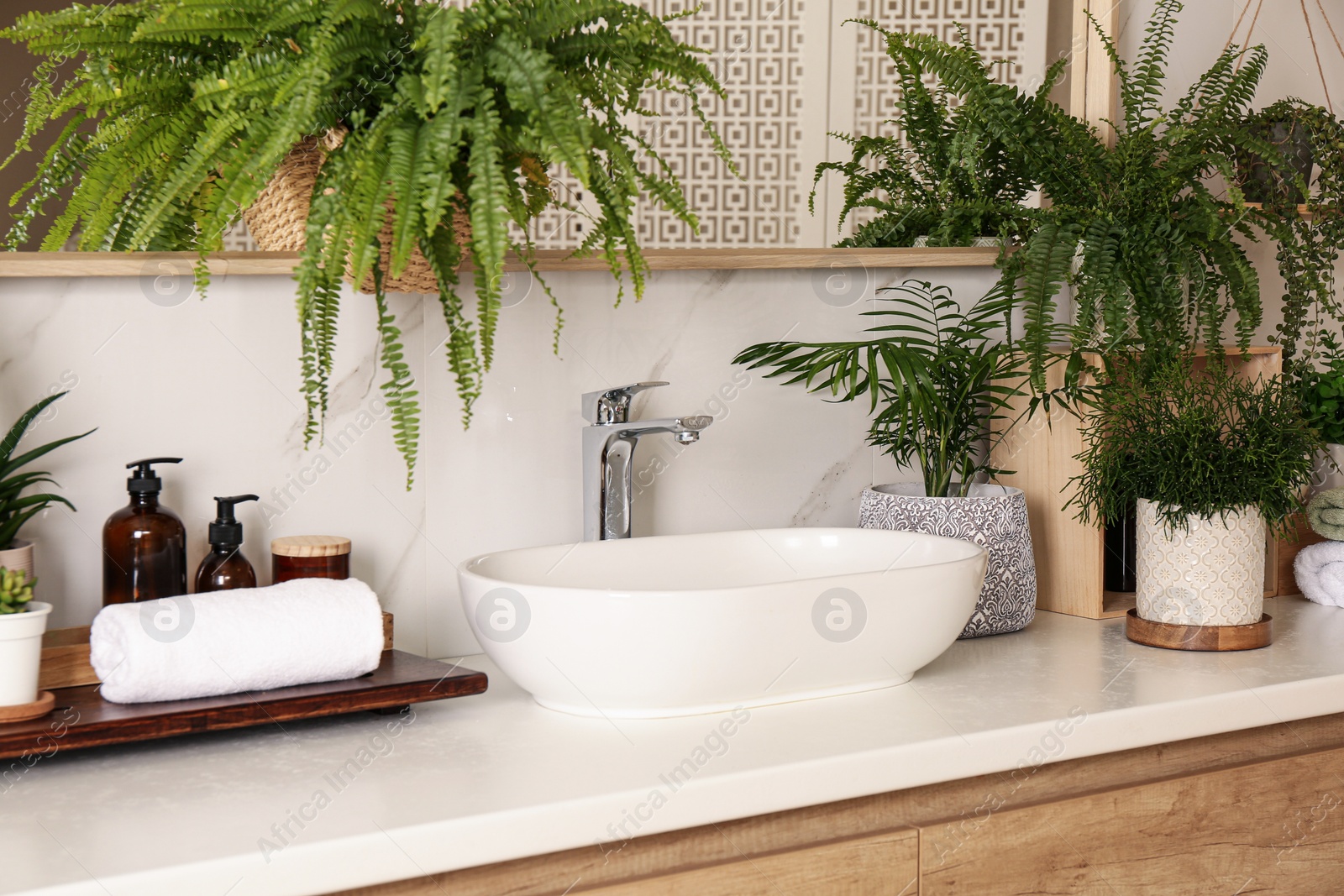 Photo of Counter with sink and many different houseplants near white marble wall