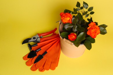 Photo of Gardening gloves, tools and bucket with beautiful roses on yellow background, above view