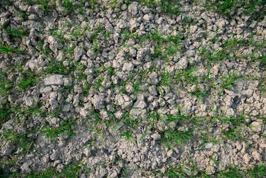 Photo of Clay soil field with lush green grass, top view