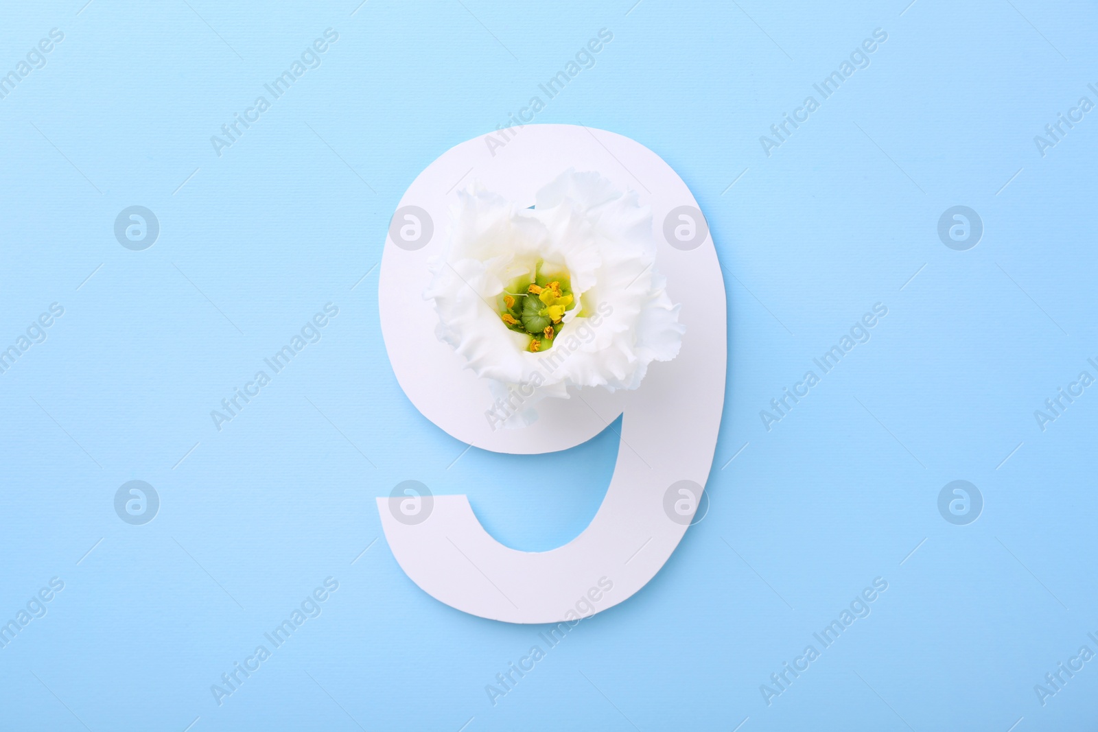 Photo of Paper number 9 and beautiful flower on light blue background, top view