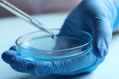 Photo of Doctor dripping liquid from pipette into petri dish at light table, closeup. Laboratory analysis