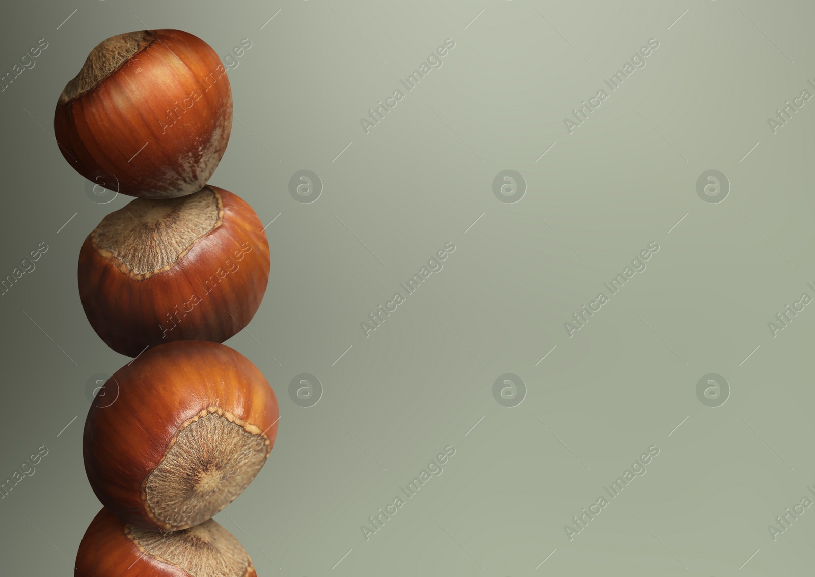 Image of Stacked hazelnuts on light grey gradient background, space for text
