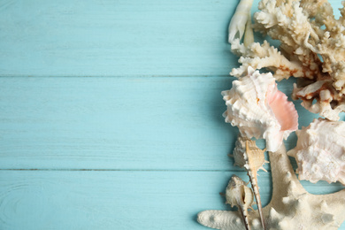 Different sea shells on light blue wooden table, flat lay. Space for text